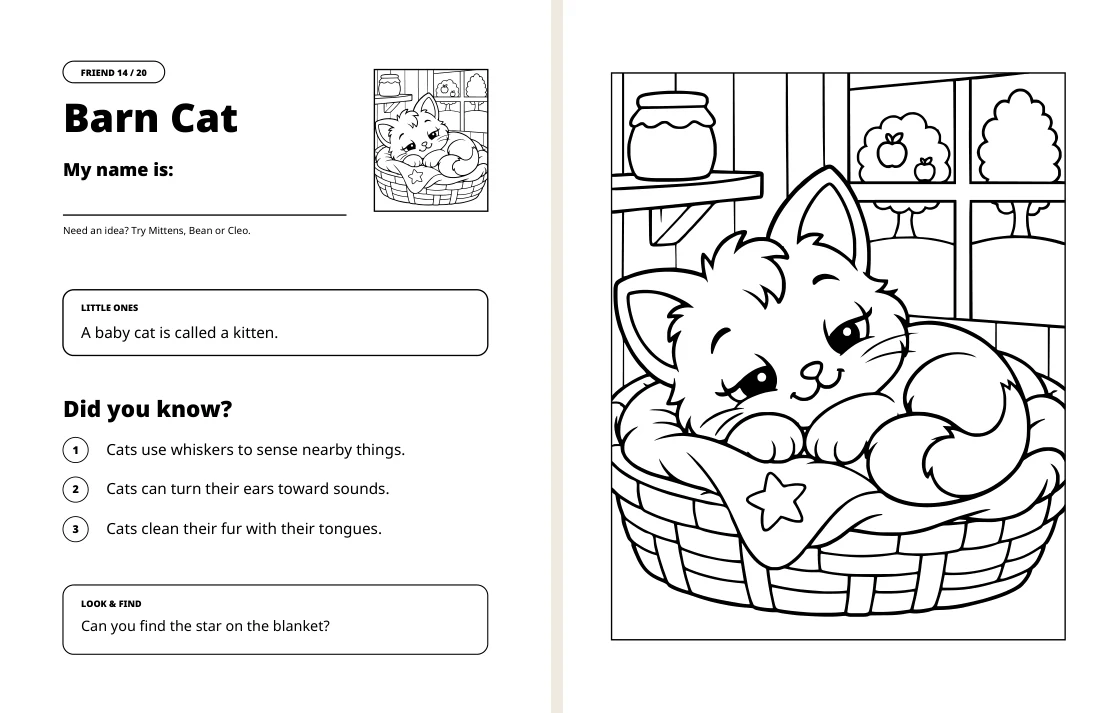 Barn-Cat facts on the left and matching coloring picture on the right