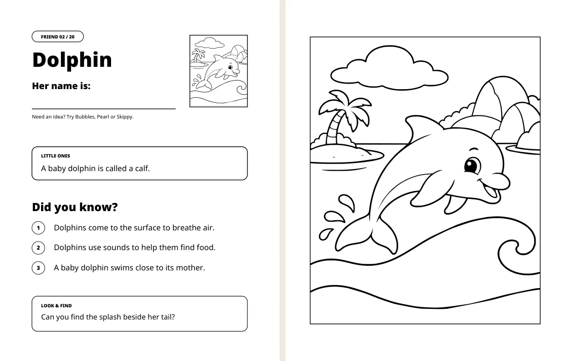 Dolphin facts on the left and matching coloring picture on the right