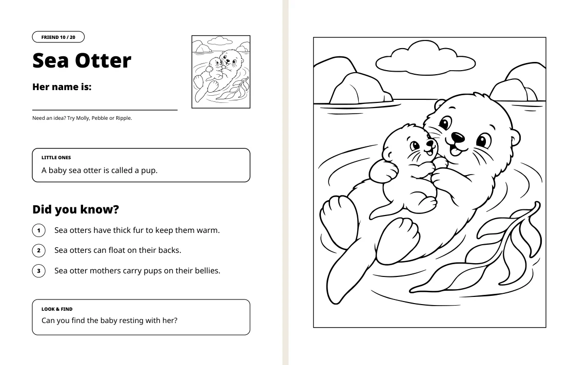 Sea-Otter facts on the left and matching coloring picture on the right
