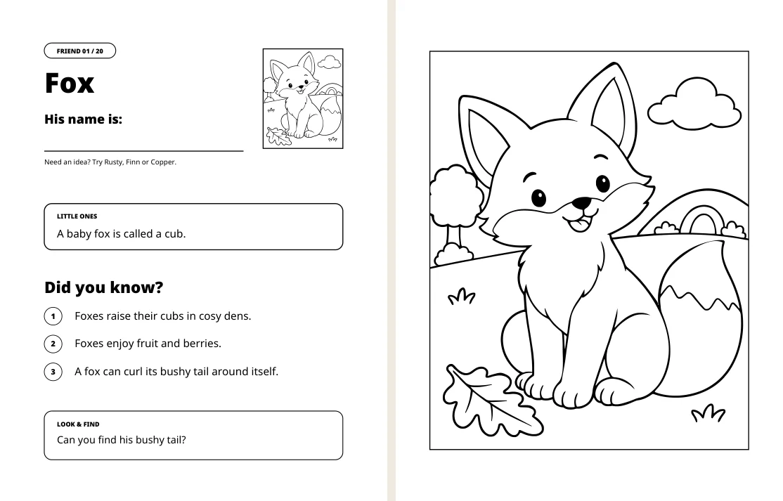 Fox facts on the left and matching coloring picture on the right