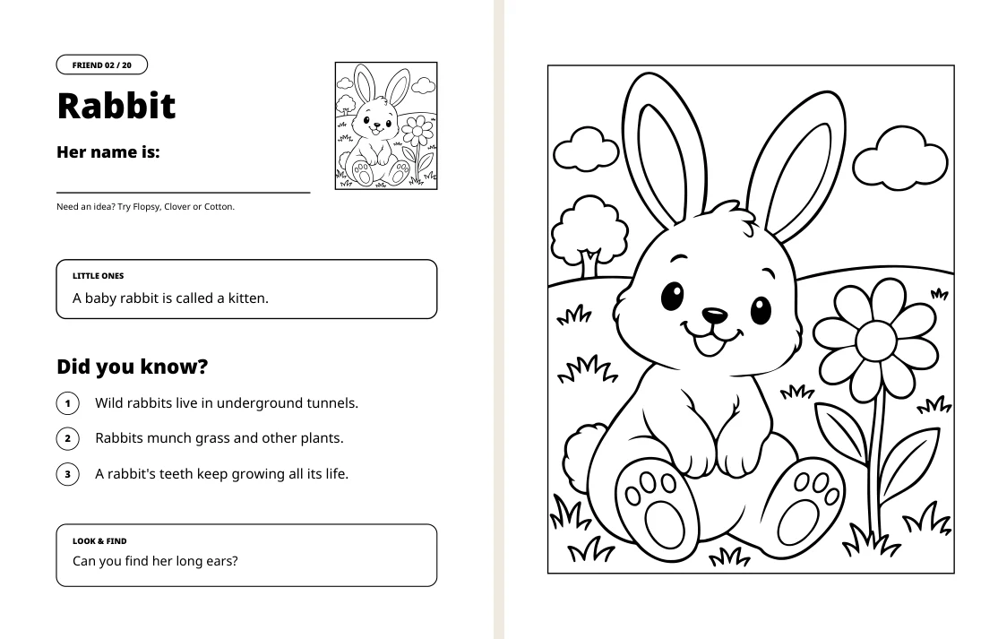 Rabbit facts on the left and matching coloring picture on the right
